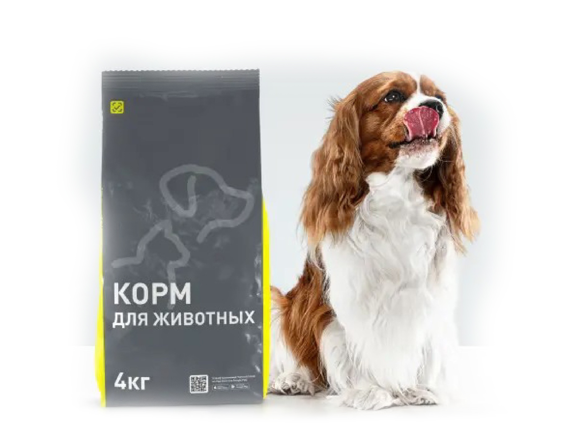 Корма для животных